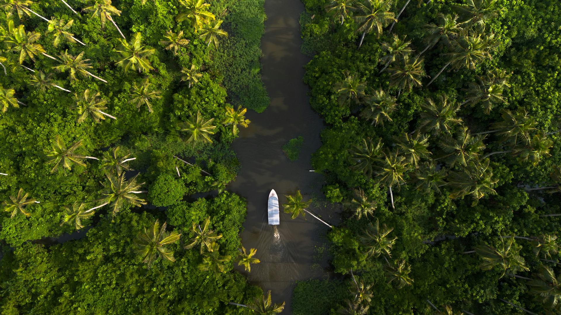 kerala